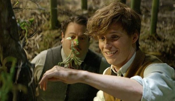 Jacob, Newt e un asticello, molto più tenero di come lo immaginassi